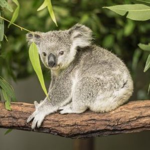 Integrating integration test automation into application code